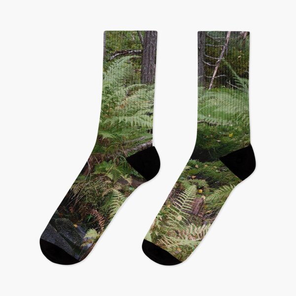 Item preview, Ferns. Julma Olkky designed and sold by Jouko Lehto Photography.
