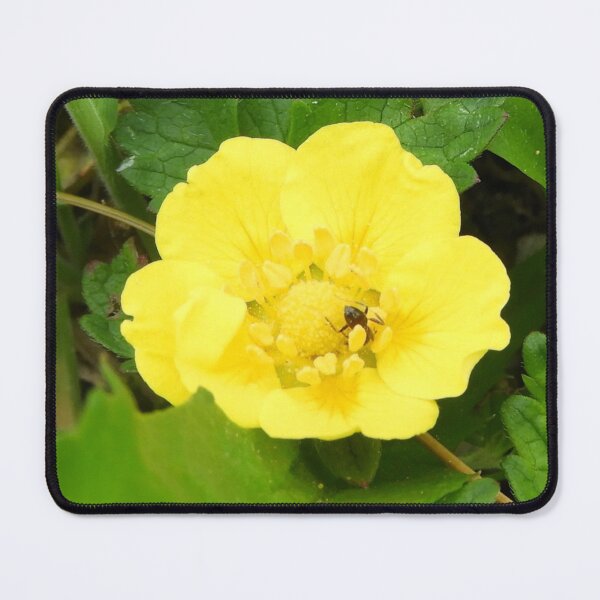 Item preview, Potentilla hebiichigo in spring designed and sold by TinequeW.