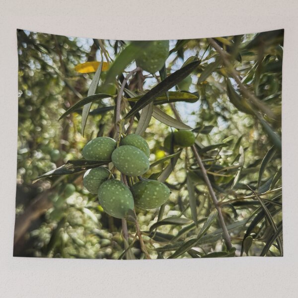 Item preview, Sicilian Olives On The Tree designed and sold by Douglas E. Welch Design and Photography.