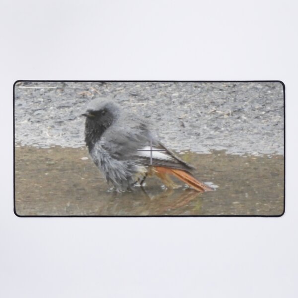 Item preview, Black red tail in the bath designed and sold by TinequeW.