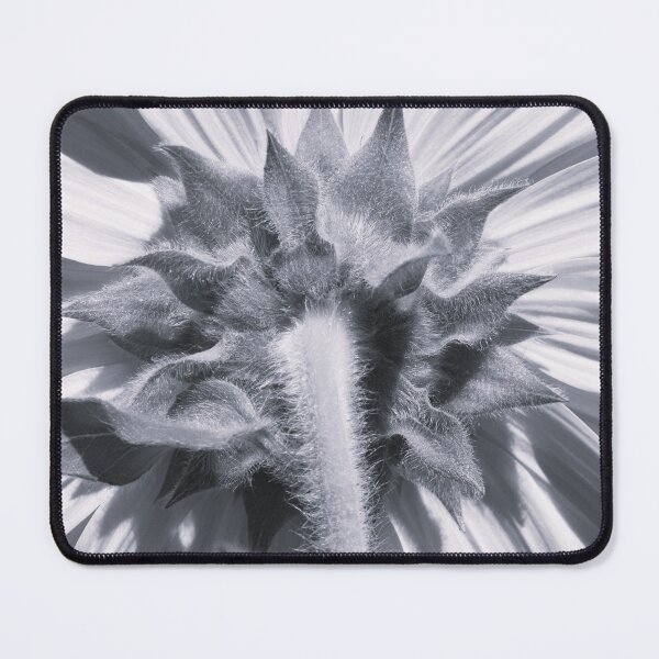 Item preview, Sunflower Backside Black And White 2 designed and sold by LisaWootenPhoto.