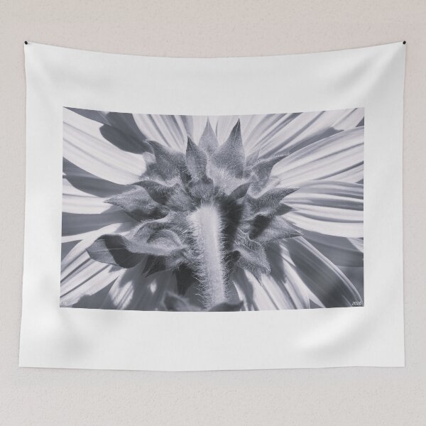 Item preview, Sunflower Backside Black And White 2 designed and sold by LisaWootenPhoto.