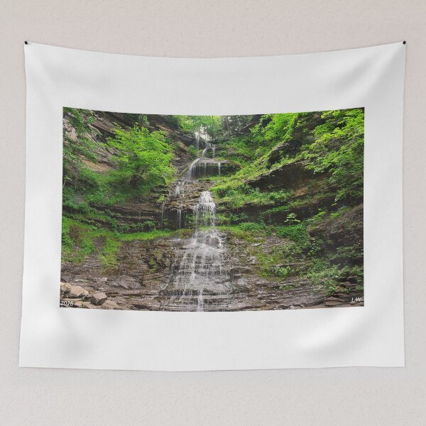 Item preview, Cathedral Falls West Virginia designed and sold by LisaWootenPhoto.