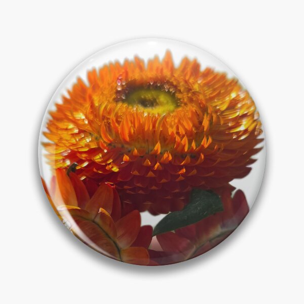 Artikelvorschau, Orangefarbene Strohblume! entworfen und verkauft von Shoreline Photography .
