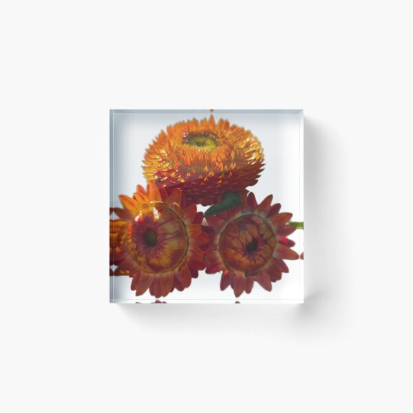 Item preview, Orange Straw Flower!  designed and sold by SamanthaDawn94.
