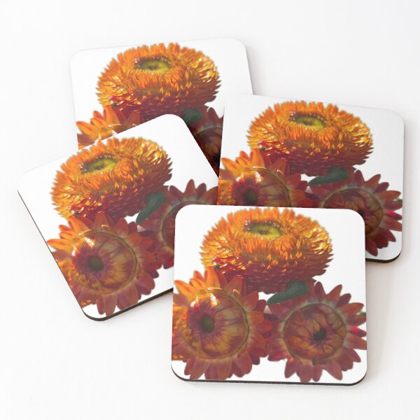 Artikelvorschau, Orangefarbene Strohblume! entworfen und verkauft von Shoreline Photography .