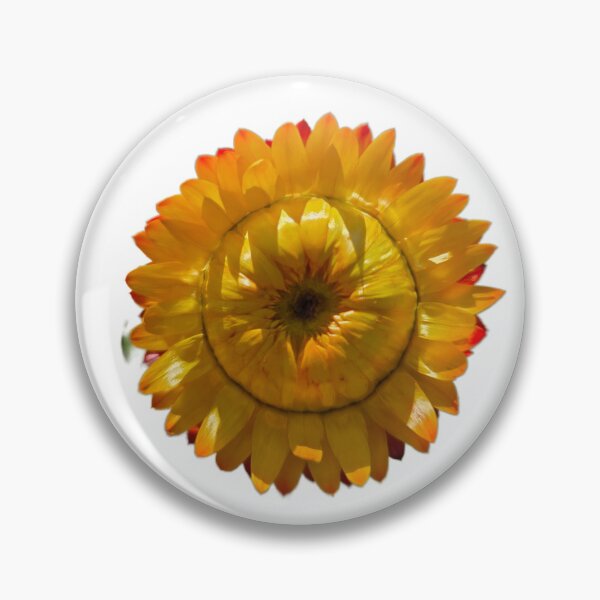 Item preview, Yellow Straw Flower designed and sold by SamanthaDawn94.