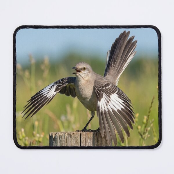 Item preview, Showoff! designed and sold by GAWPAWshop.