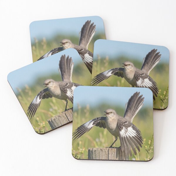 Item preview, Showoff! designed and sold by GAWPAWshop.