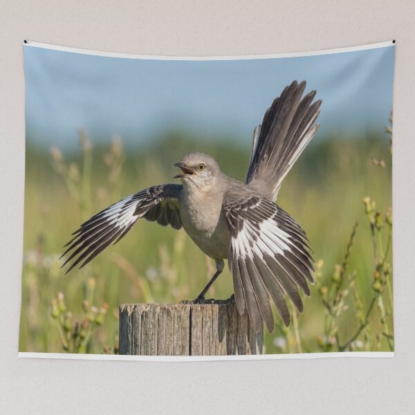 Item preview, Showoff! designed and sold by GAWPAWshop.