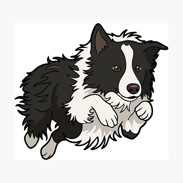 Item preview, Dock Diving Border Collie designed and sold by Bluek9sDesign.