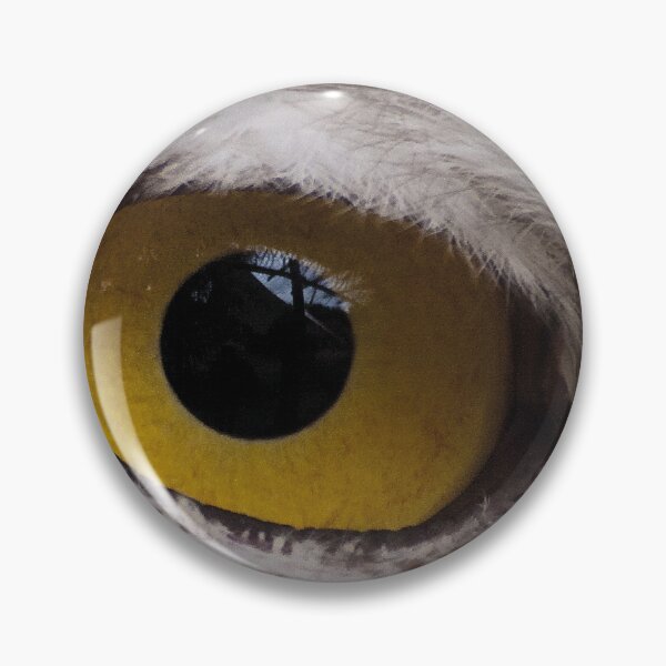 Item preview, eye of an owl designed and sold by AgdBol.