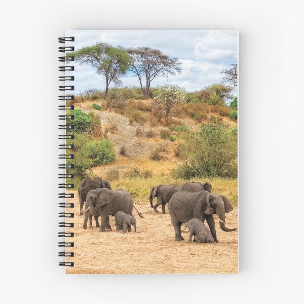 Item preview, Elephant Drill designed and sold by Kay Brewer.