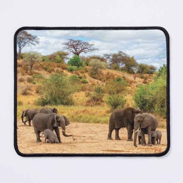 Item preview, Elephant Drill designed and sold by Kay Brewer.