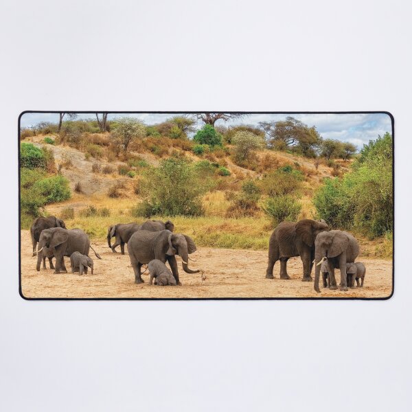Item preview, Elephant Drill designed and sold by Kay Brewer.