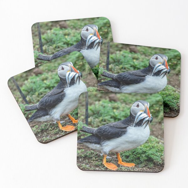 Item preview, Atlantic Puffin on Skomer Island Pembrokeshire Wales UK designed and sold by deeve0.