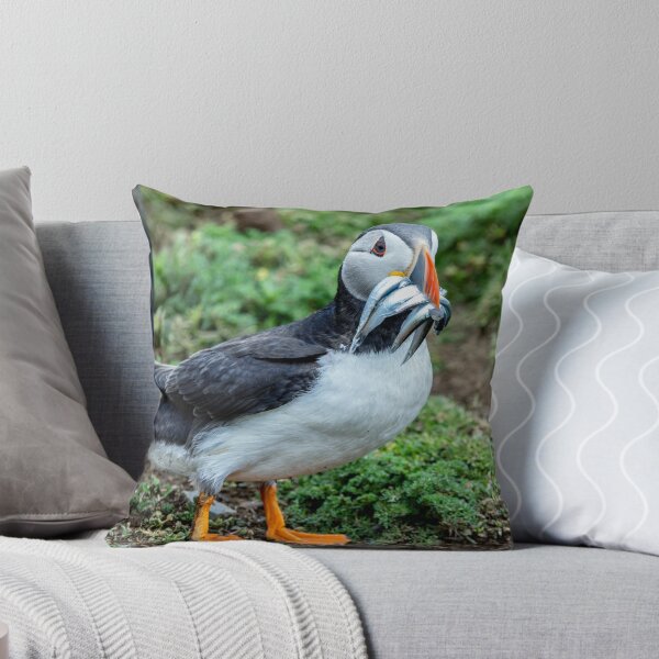 Item preview, Atlantic Puffin on Skomer Island Pembrokeshire Wales UK designed and sold by deeve0.