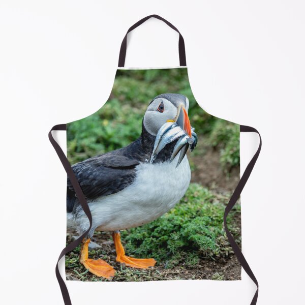 Item preview, Atlantic Puffin on Skomer Island Pembrokeshire Wales UK designed and sold by deeve0.