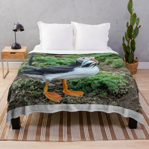 Item preview, Atlantic Puffin on Skomer Island Pembrokeshire Wales UK designed and sold by deeve0.