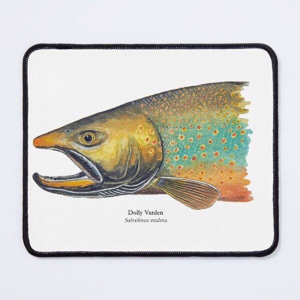Item preview, Dolly Varden Head Painting designed and sold by Stephen Emms.
