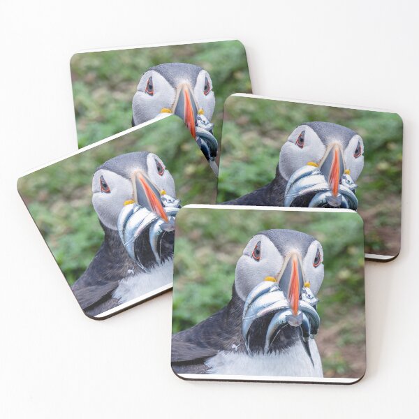 Item preview, Puffin with Sand Eels at Skomer Island designed and sold by deeve0.