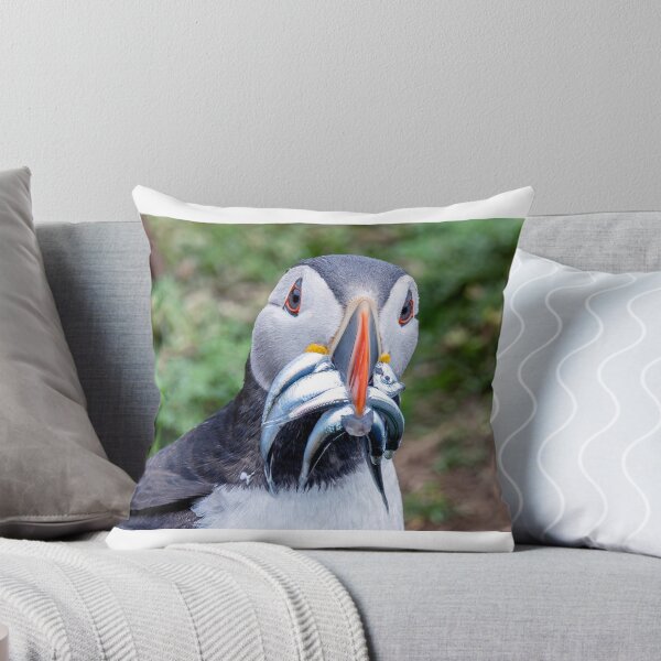 Item preview, Puffin with Sand Eels at Skomer Island designed and sold by deeve0.