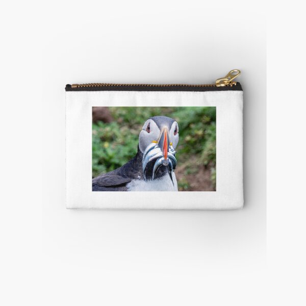 Item preview, Puffin with Sand Eels at Skomer Island designed and sold by deeve0.