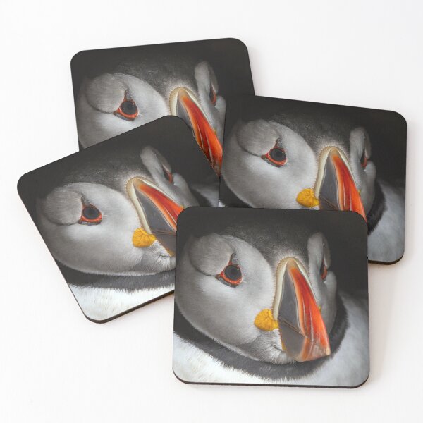 Item preview, Adult Puffin sitting on eggs in it's burrow at Skomer Island, Pembrokeshire, Wales UK designed and sold by deeve0.