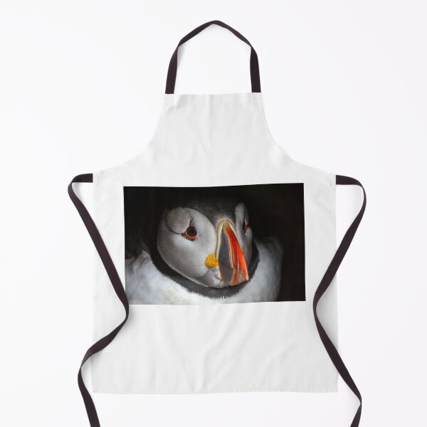 Item preview, Adult Puffin sitting on eggs in it's burrow at Skomer Island, Pembrokeshire, Wales UK designed and sold by deeve0.