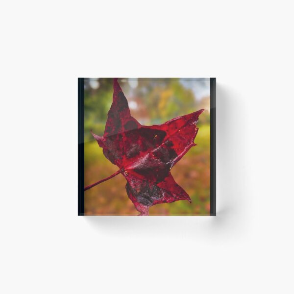 Item preview, Autumn Leaf. designed and sold by Dinasshop.