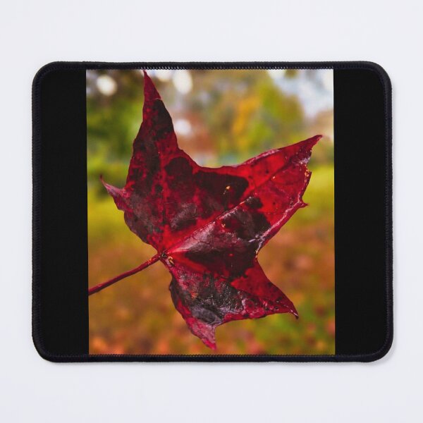 Item preview, Autumn Leaf. designed and sold by Dinasshop.