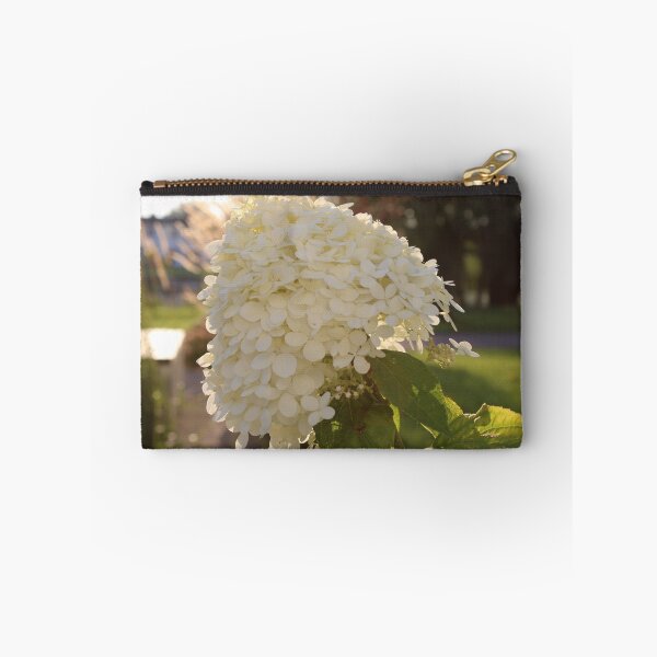 Item preview, White Hydrangea Flower in Sunlight Photography designed and sold by OlesiaCraft.