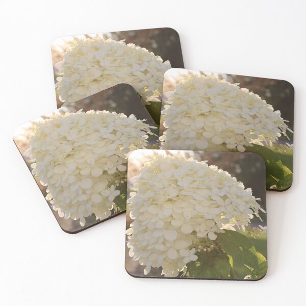 Item preview, White Hydrangea Flower in Sunlight Photography designed and sold by OlesiaCraft.
