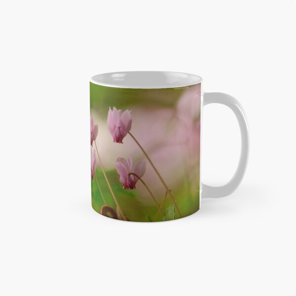Item preview, Cyclamen blooming  designed and sold by miradorpictures.