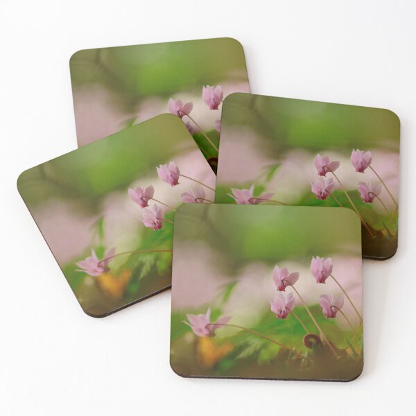 Item preview, Cyclamen blooming  designed and sold by miradorpictures.