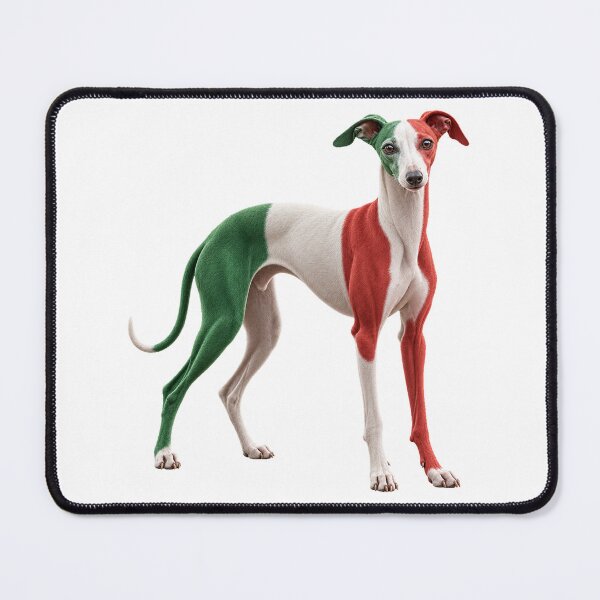 Item preview, Italy Flag Italian Greyhound – Italian Tricolor Dog Art designed and sold by ROVVI.