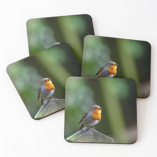Item preview, The European Robin (Erithacus rubecula). designed and sold by Vine Photographic.