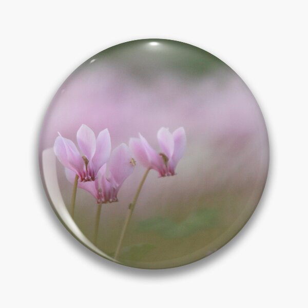 Item preview, Cyclamen time designed and sold by miradorpictures.