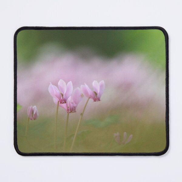 Item preview, Cyclamen time designed and sold by miradorpictures.