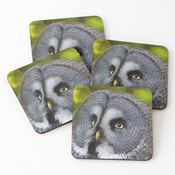 Item preview, The Great Grey Owl (Strix nebulosa). designed and sold by Vine Photographic.