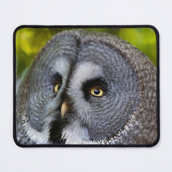 Item preview, The Great Grey Owl (Strix nebulosa). designed and sold by Vine Photographic.