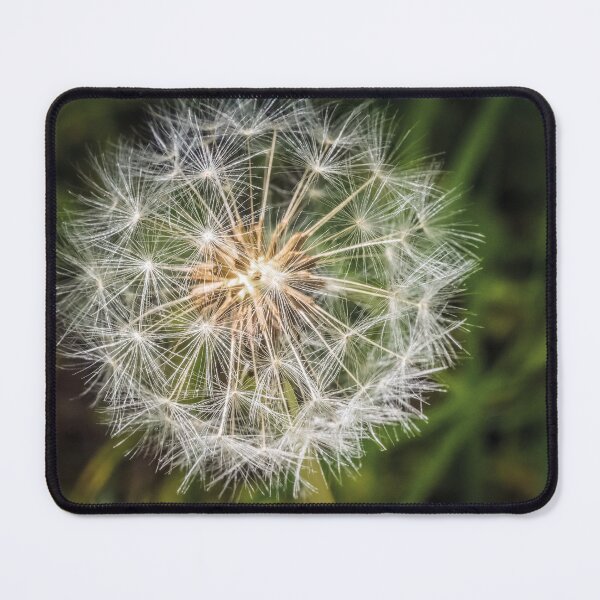 Item preview, dandelion fluff designed and sold by AgdBol.
