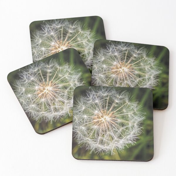 Item preview, dandelion fluff designed and sold by AgdBol.