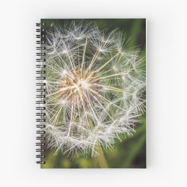 Item preview, dandelion fluff designed and sold by AgdBol.