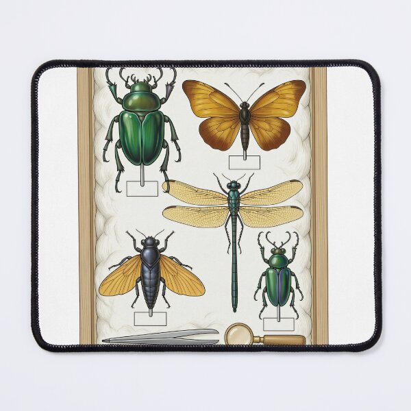 Item preview, Entomology Specimen Drawer | Insect Art designed and sold by DIUMERI.