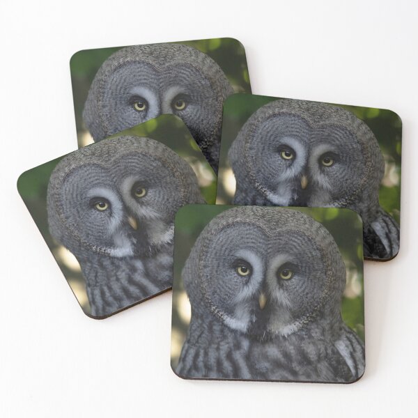 Item preview, The Great Grey Owl (Strix nebulosa). designed and sold by Vine Photographic.
