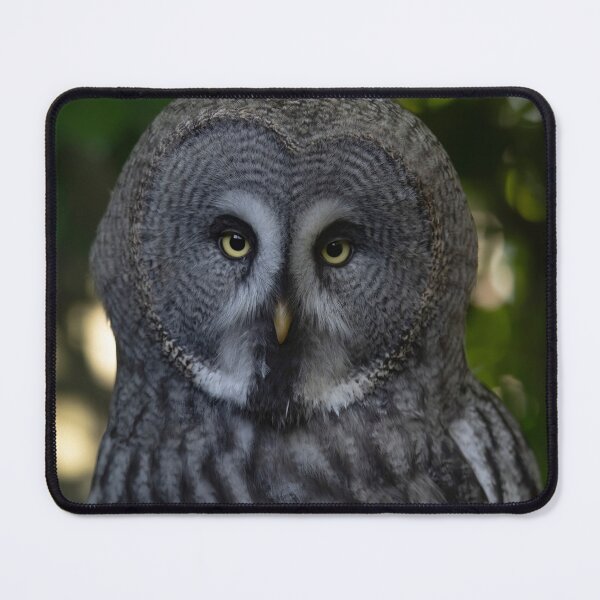 Item preview, The Great Grey Owl (Strix nebulosa). designed and sold by Vine Photographic.
