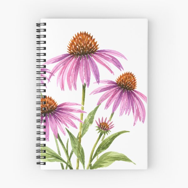Item preview, Cottagecore Purple Echinacea Coneflower Watercolor Botanical Art HD Store designed and sold by bard-art.