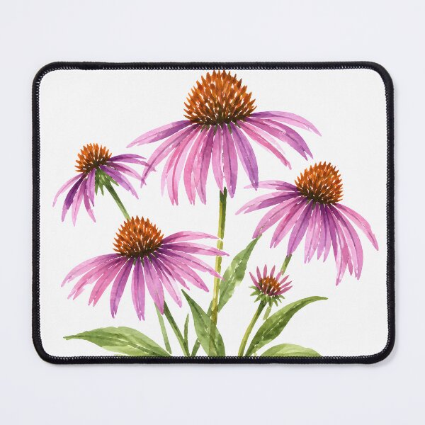 Item preview, Cottagecore Purple Echinacea Coneflower Watercolor Botanical Art HD Store designed and sold by bard-art.