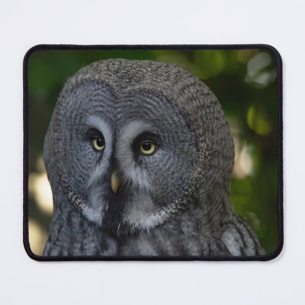 Item preview, The Great Grey Owl (Strix nebulosa). designed and sold by Vine Photographic.